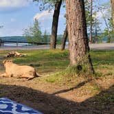 Review photo of Old Orchard Park Campground by Tracey R., August 6, 2021