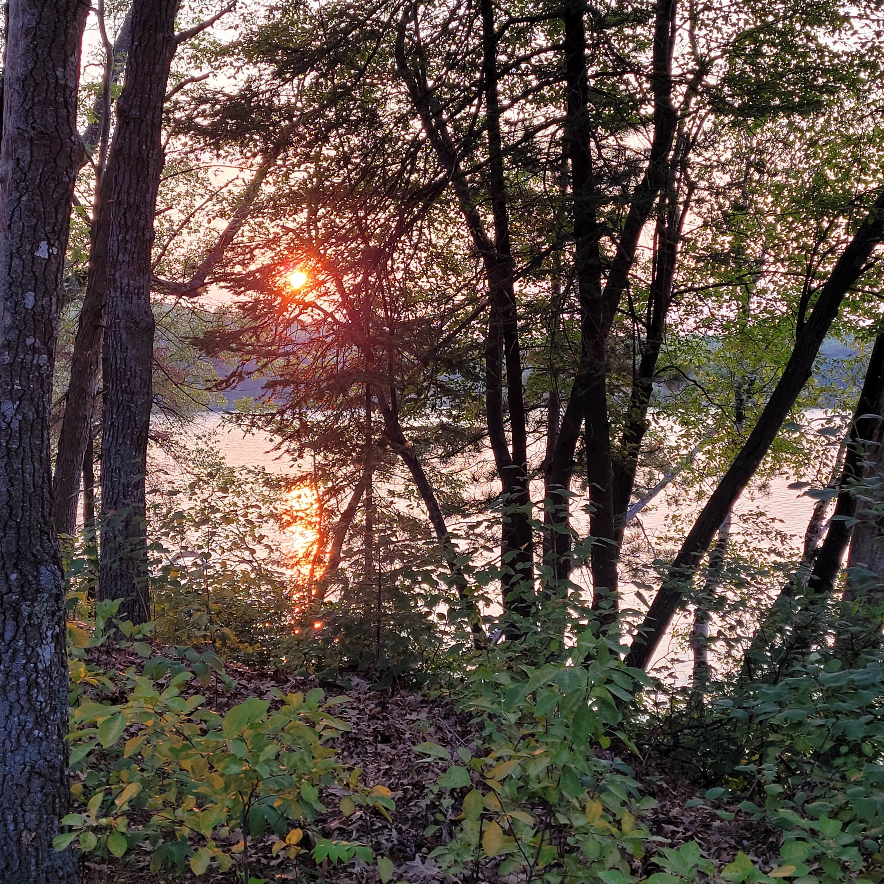 Camper submitted image from Old Orchard Park Campground - 2