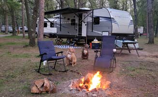 Tracey R.'s photo of rv camping at Old Orchard Park Campground near Sand Lake, MI