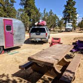Review photo of Ponderosa Grove Campground by Shari  G., August 6, 2021