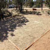 Review photo of Ponderosa Grove Campground by Shari  G., August 6, 2021