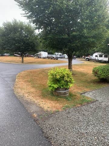 Camper-submitted photo at Howard Miller Steelhead County Park near Mt. Baker-Snoqualmie National Forest