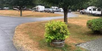 Camper submitted image from Howard Miller Steelhead County Park