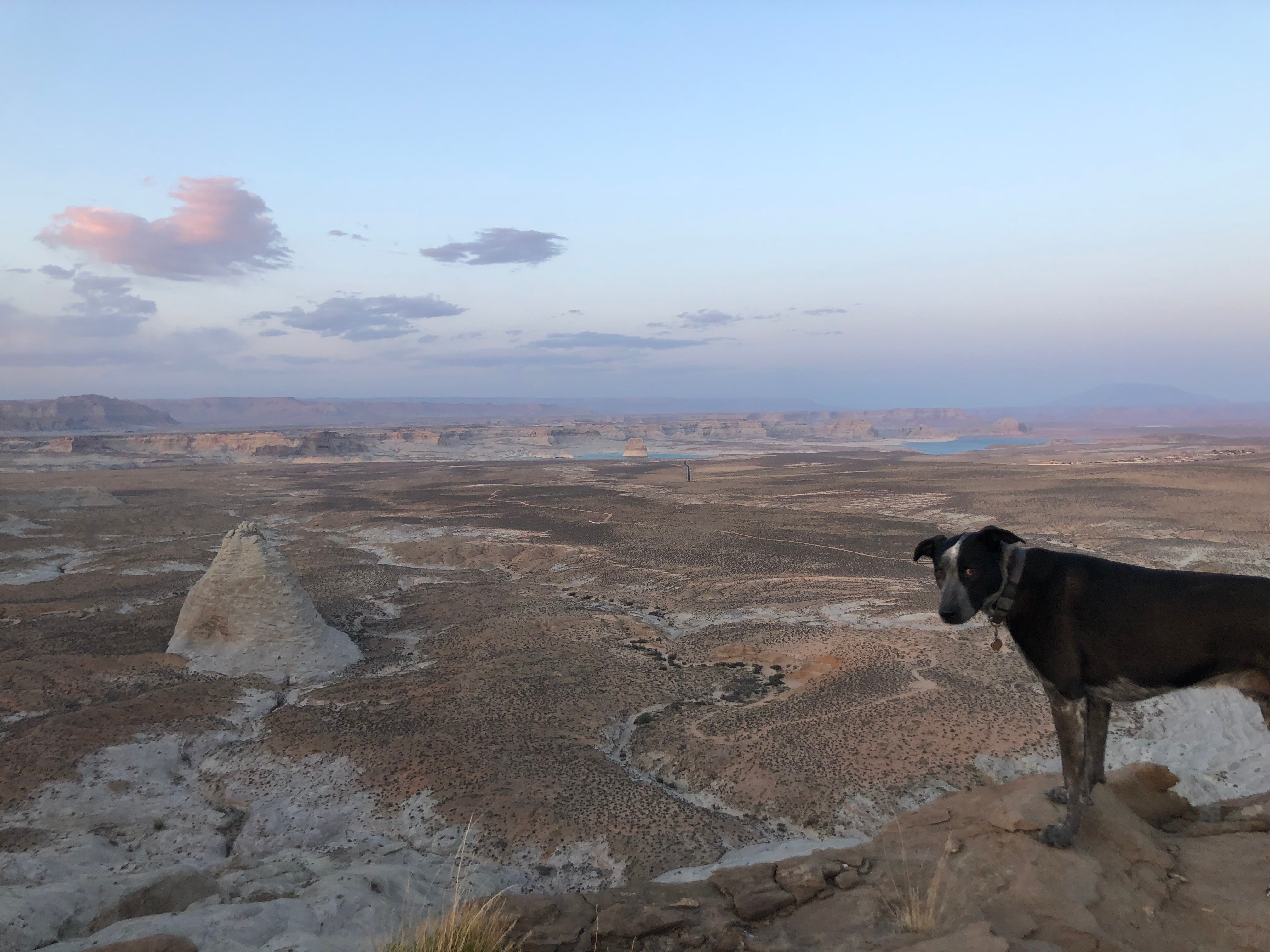 Camper submitted image from Corral Dispersed — Glen Canyon National Recreation Area - 5