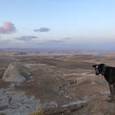 Review photo of Corral Dispersed — Glen Canyon National Recreation Area by rosie F., August 6, 2021