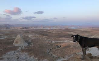 rosie F.'s photo of camping with pets at Corral Dispersed — Glen Canyon National Recreation Area near Marble Canyon, AZ