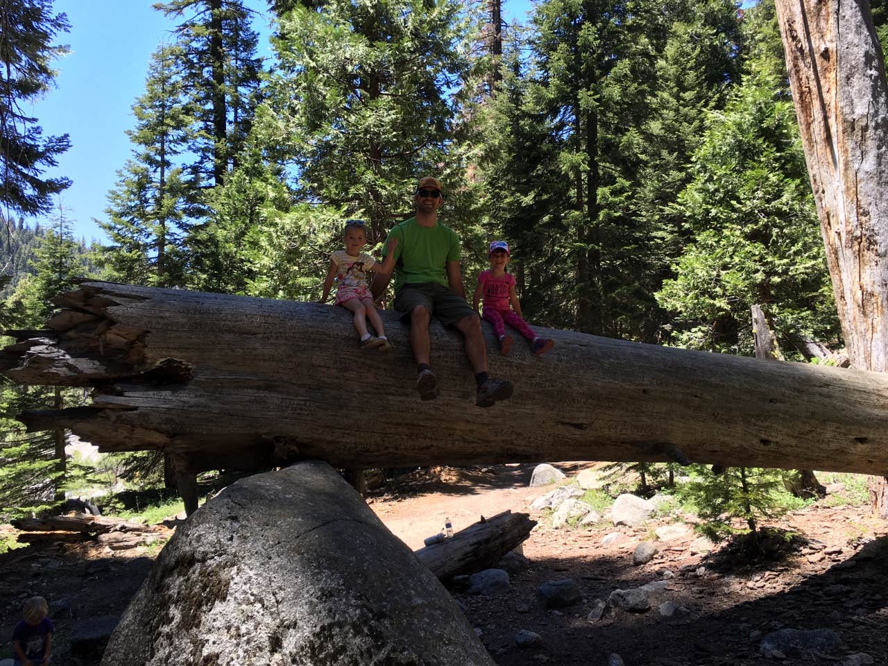 Camper submitted image from Dorst Creek Campground — Sequoia National Park - TEMPORARILY CLOSED - 3