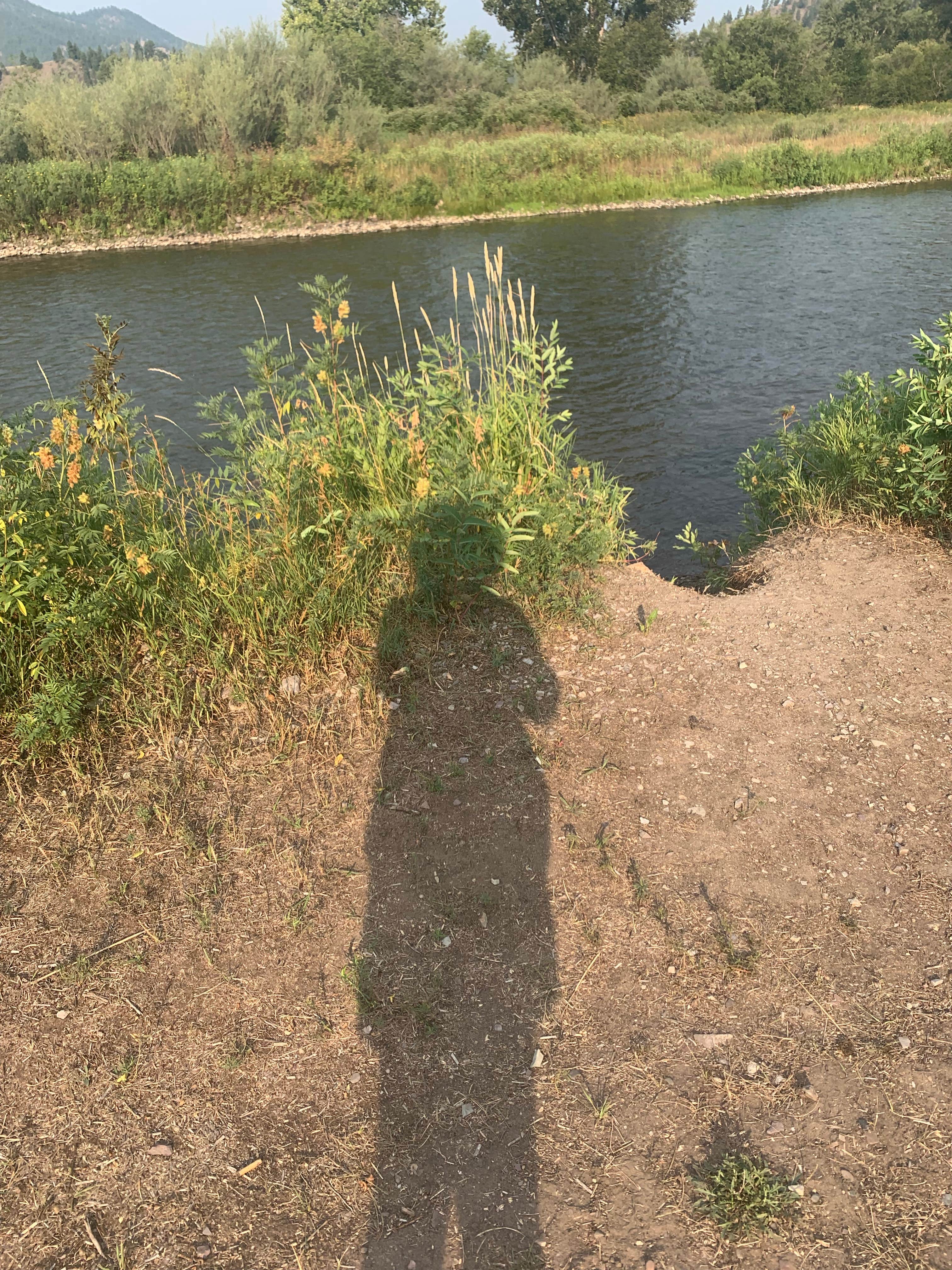 Camper-submitted photo at Bearmouth RV Park near Bonner, MT