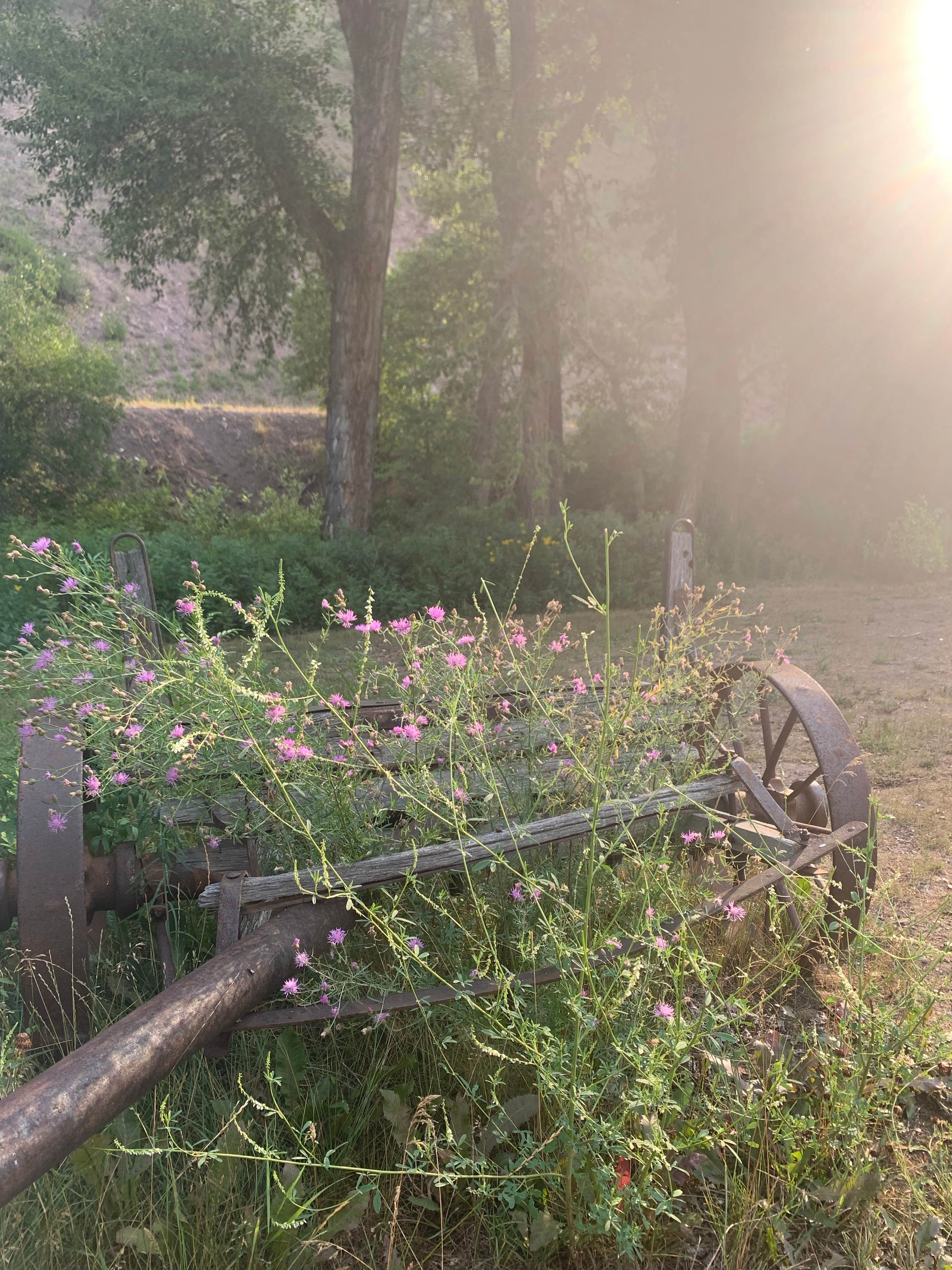 Camper-submitted photo at Bearmouth RV Park near Bonner, MT
