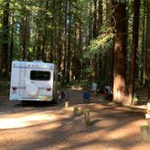 Review photo of Burlington Campground — Humboldt Redwoods State Park by jeanne D., August 6, 2021