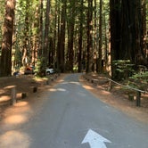 Review photo of Burlington Campground — Humboldt Redwoods State Park by jeanne D., August 6, 2021