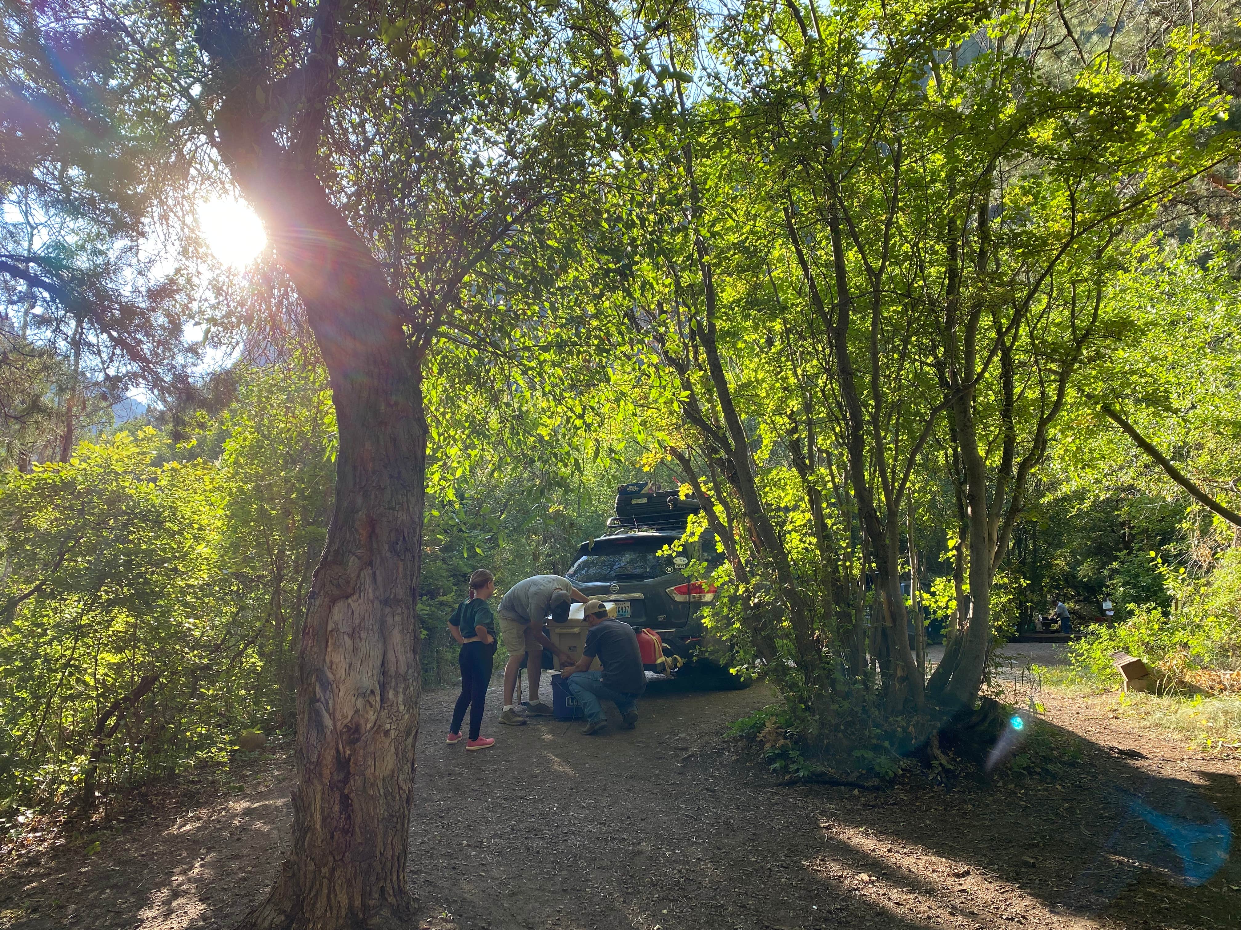 Camper submitted image from Leigh Creek Campground - 1