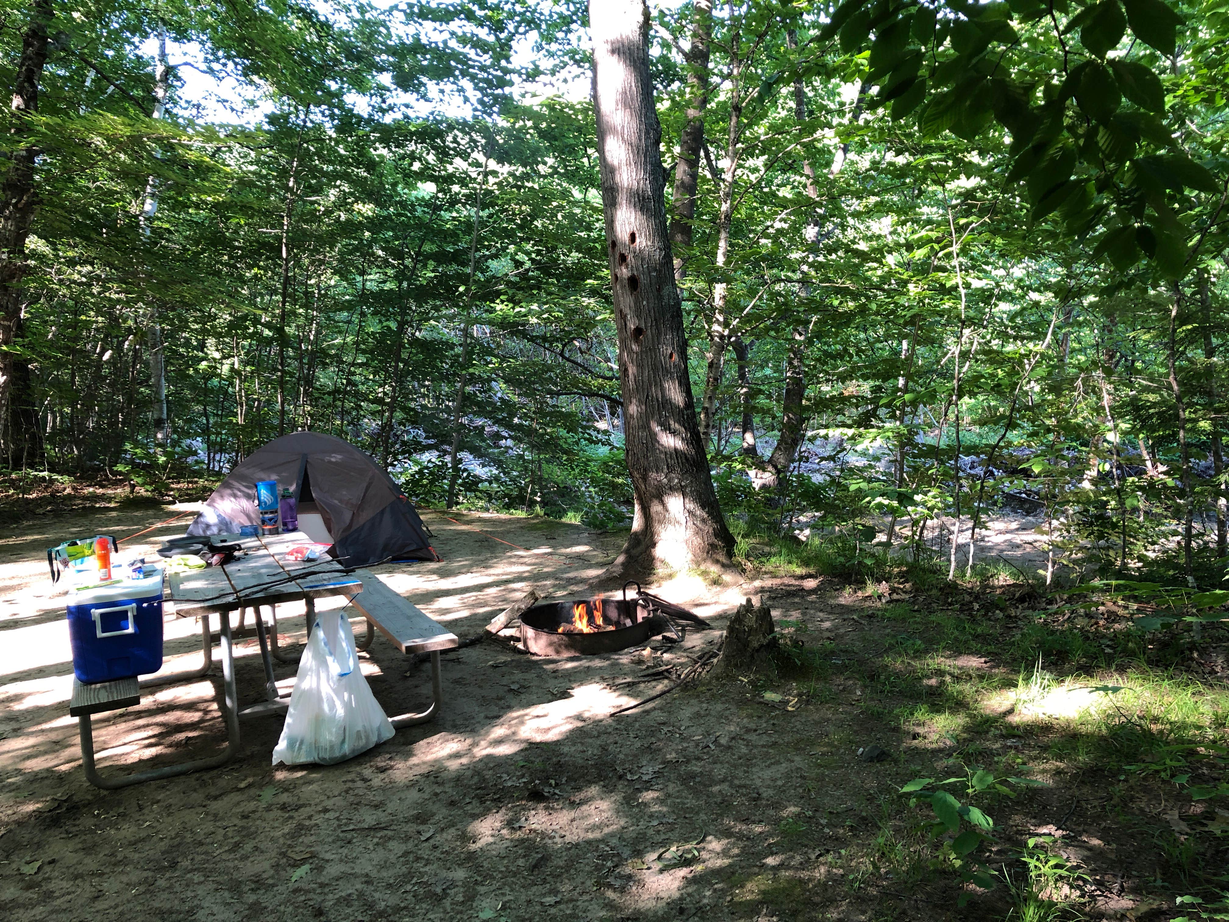 Kim B.'s photo at Crawford Notch Campground near White Mountain National Forest