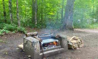 Camping near Jones Pond NYSDEC Primitive Campsites: Meacham Lake Adirondack Preserve, Rainbow Lake, New York