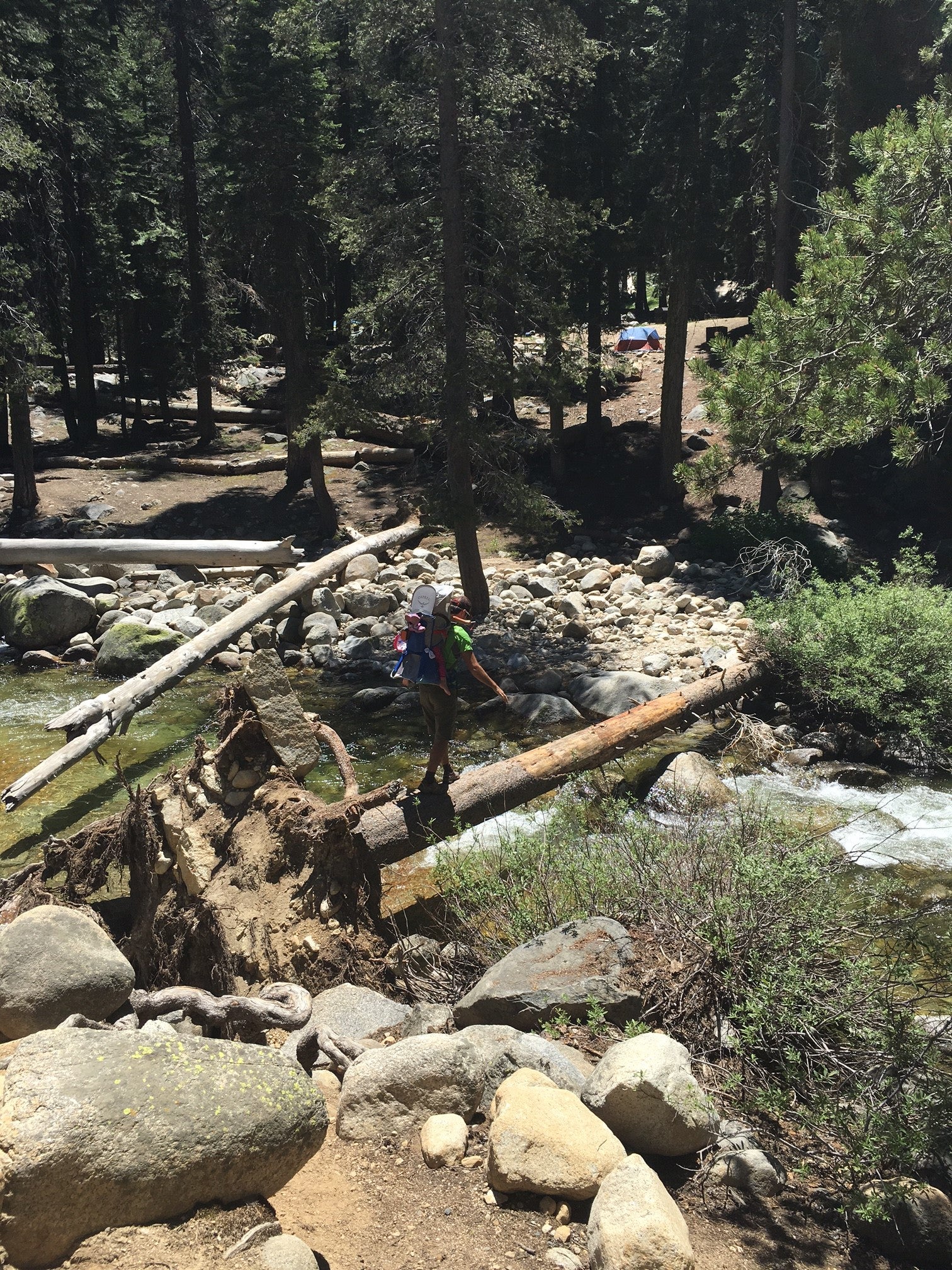 Camper submitted image from Dorst Creek Campground — Sequoia National Park - 2