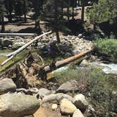 Review photo of Dorst Creek Campground — Sequoia National Park - TEMPORARILY CLOSED by Geoff H., July 18, 2016