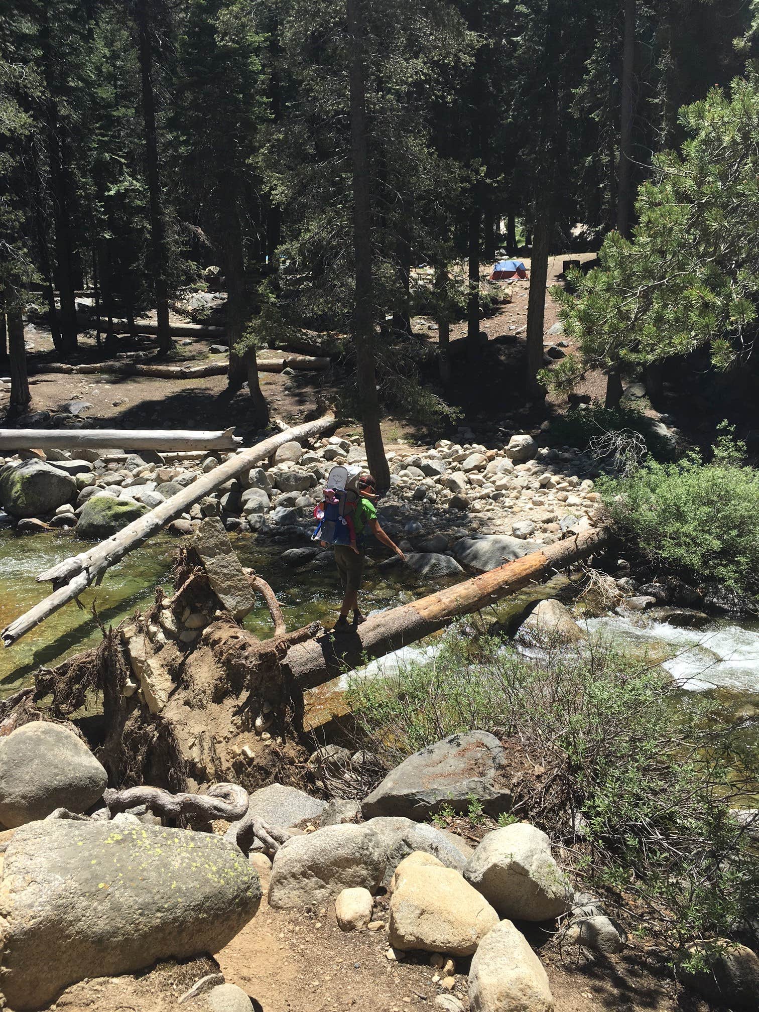 Camper submitted image from Dorst Creek Campground — Sequoia National Park - TEMPORARILY CLOSED - 2