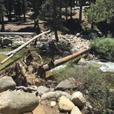 Review photo of Dorst Creek Campground — Sequoia National Park by Geoff H., July 18, 2016