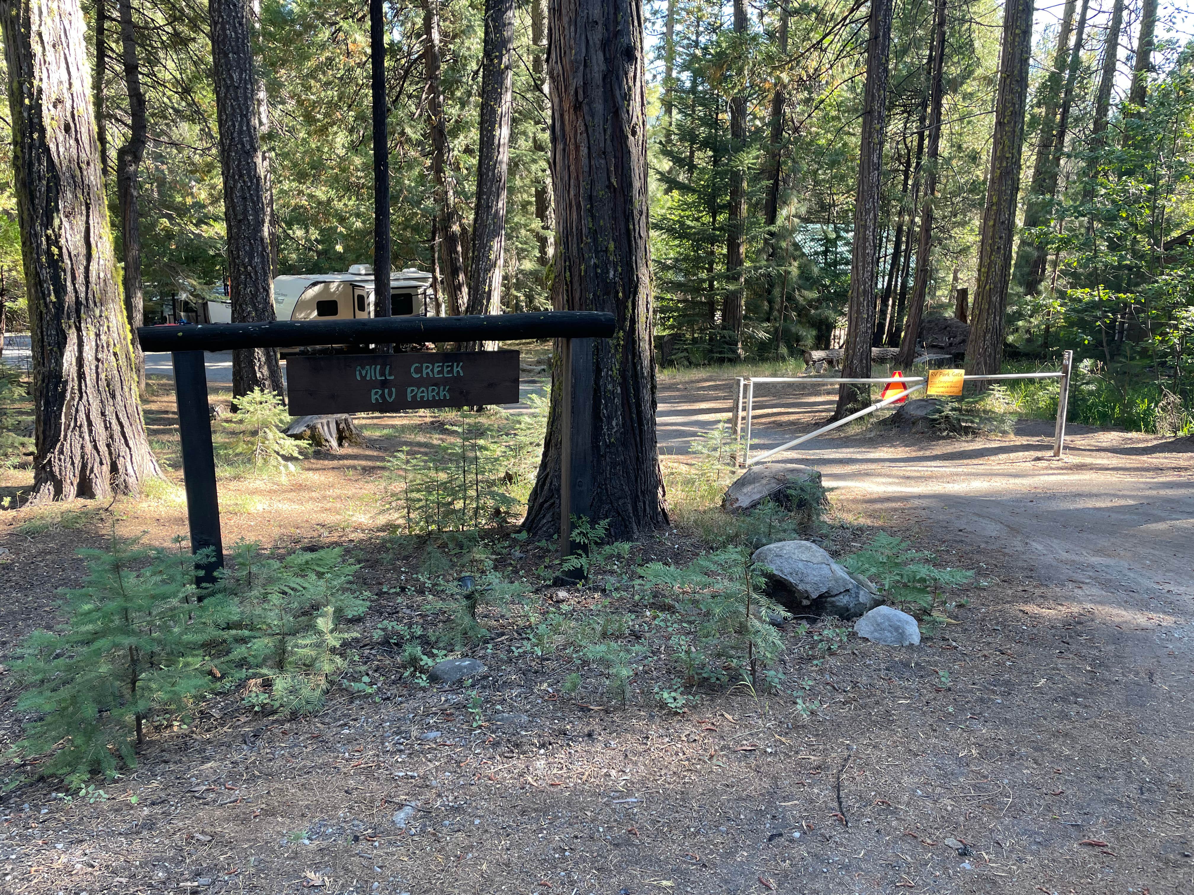 Best camping near Redding, California The Dyrt