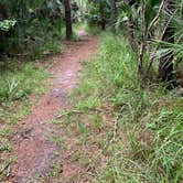 Review photo of Wekiwa Springs State Park Campground by Taylor D., August 6, 2021