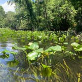 Review photo of Wekiwa Springs State Park Campground by Taylor D., August 6, 2021