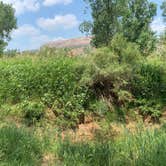 Review photo of Fortress Cliff Primitive — Palo Duro Canyon State Park by Cade C., August 6, 2021