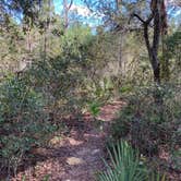 Review photo of Alexander Springs Recreation Area by Gregg C., August 6, 2021