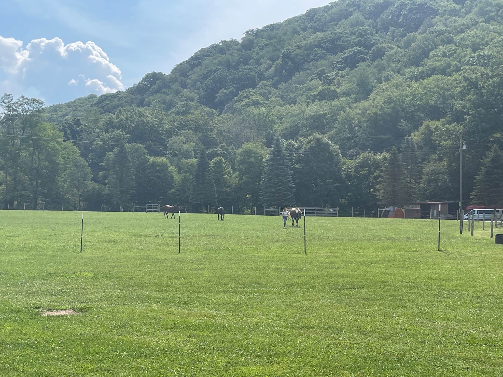 Camper-submitted photo at East Fork Campground and Horse Stables near Snowshoe, WV