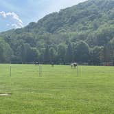 Review photo of East Fork Campground and Horse Stables by Harold C., August 5, 2021