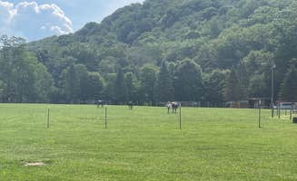 Harold C.'s photo of camping with a horse at East Fork Campground and Horse Stables near Swoope, VA