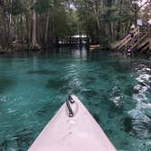 Review photo of Juniper Springs Rec Area - Tropical Camp Area by Gregg C., August 6, 2021