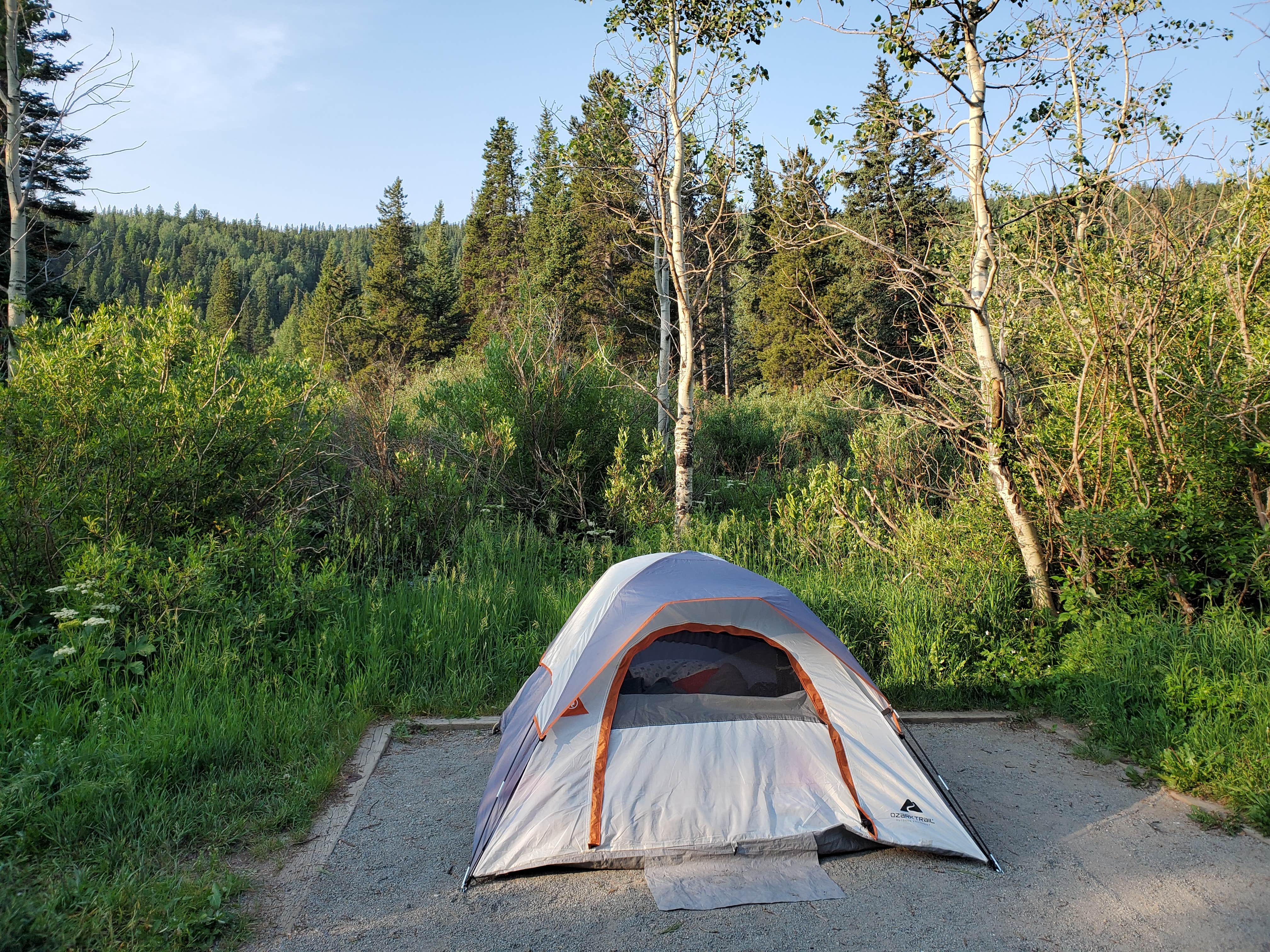 Heather's photo at Camp Dick near Ward, CO