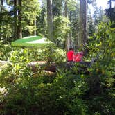 Review photo of Lost Lake Resort And Campground — Mt. Hood National Forest by Christopher N., August 6, 2021