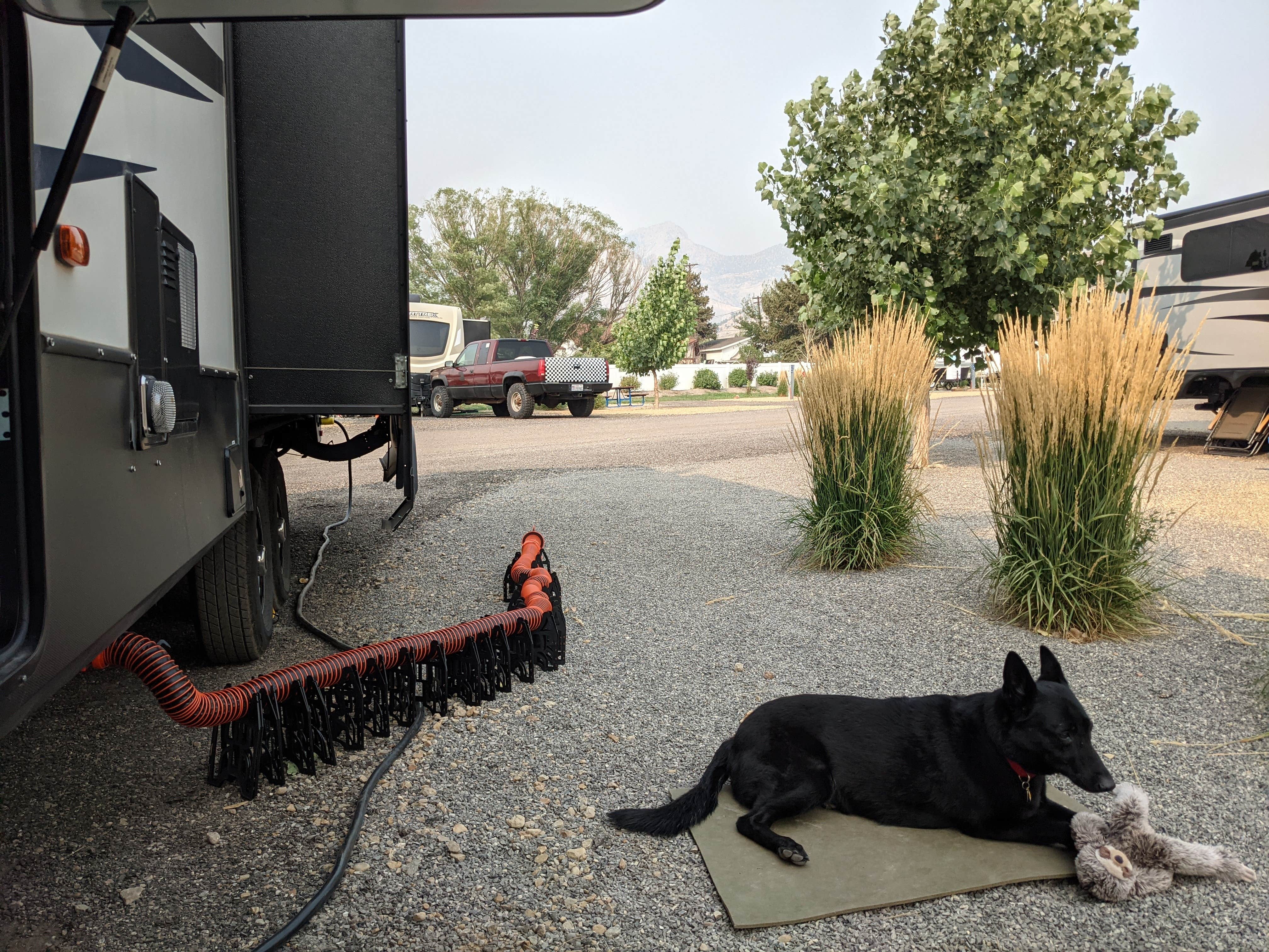 Desert J.'s photo of camping with pets at Castle Gate RV Park near Price, UT