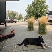 Review photo of Castle Gate RV Park by Desert J., August 7, 2021