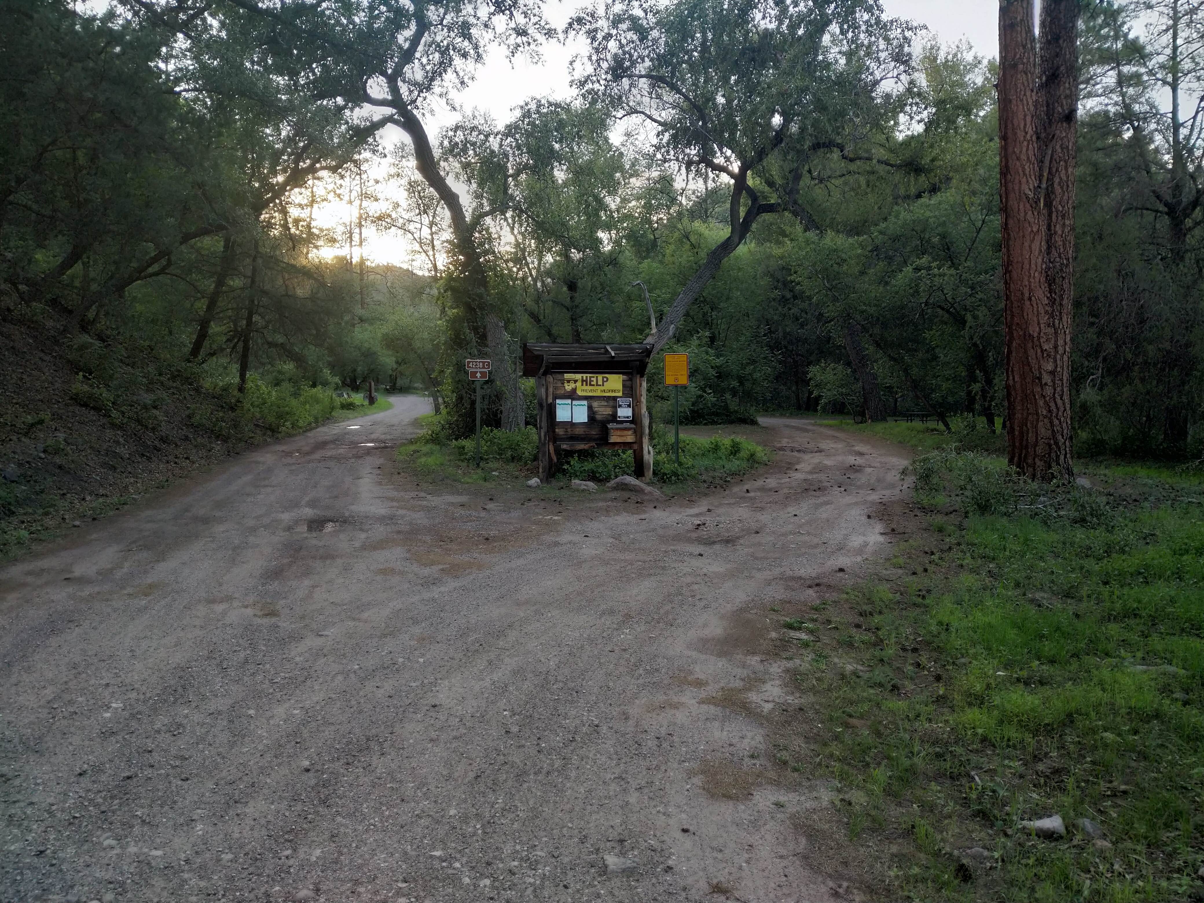 Camper submitted image from Cottonwood Campground - Navajo Lake - 3