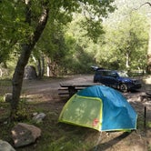 Review photo of Cottonwood Campground - Navajo Lake by Luke M., August 7, 2021