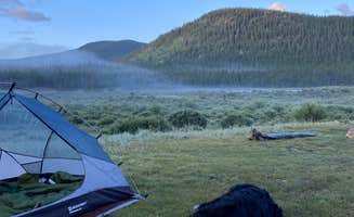 Bailey P.'s photo of camping with pets at Geneva Park Campground near Jefferson, CO