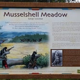 Review photo of Musselshell Meadows by Christopher R., June 17, 2018