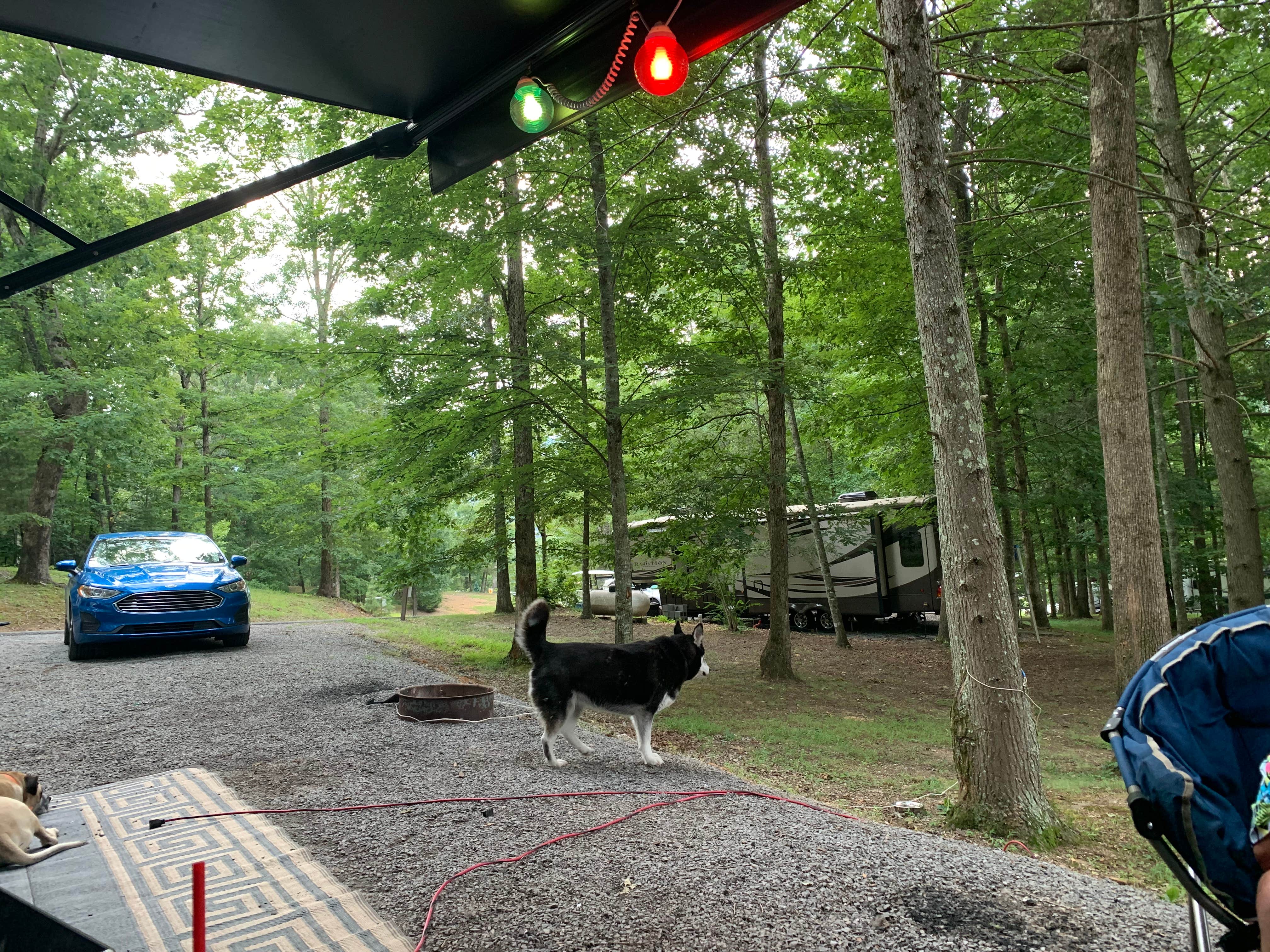 Camper-submitted photo at Honeysuckle Meadows RV resort near Tallassee, TN