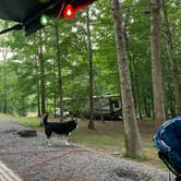 Review photo of Honeysuckle Meadows RV resort by Travis P., August 7, 2021