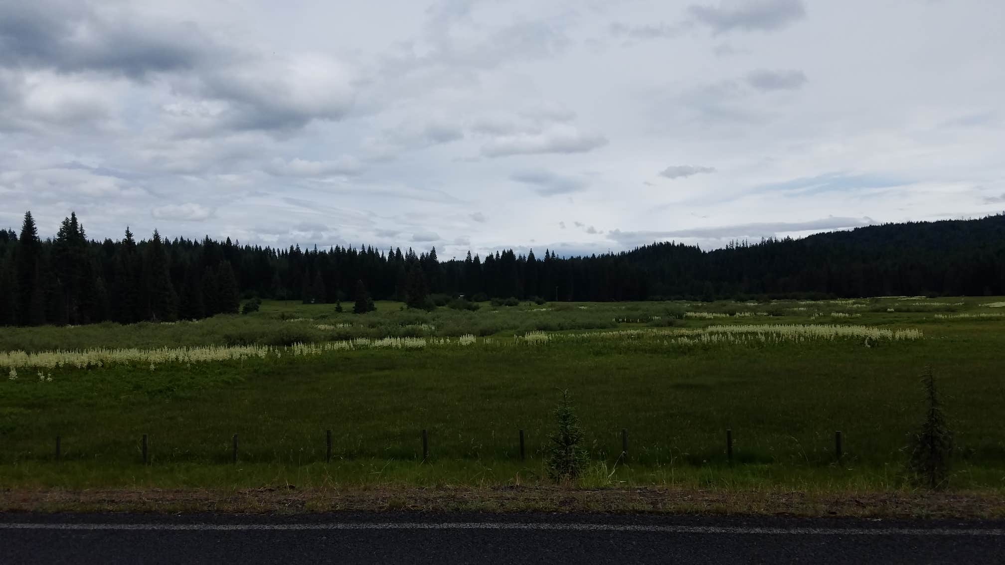 Camper-submitted photo at Musselshell Meadows near Weippe, ID