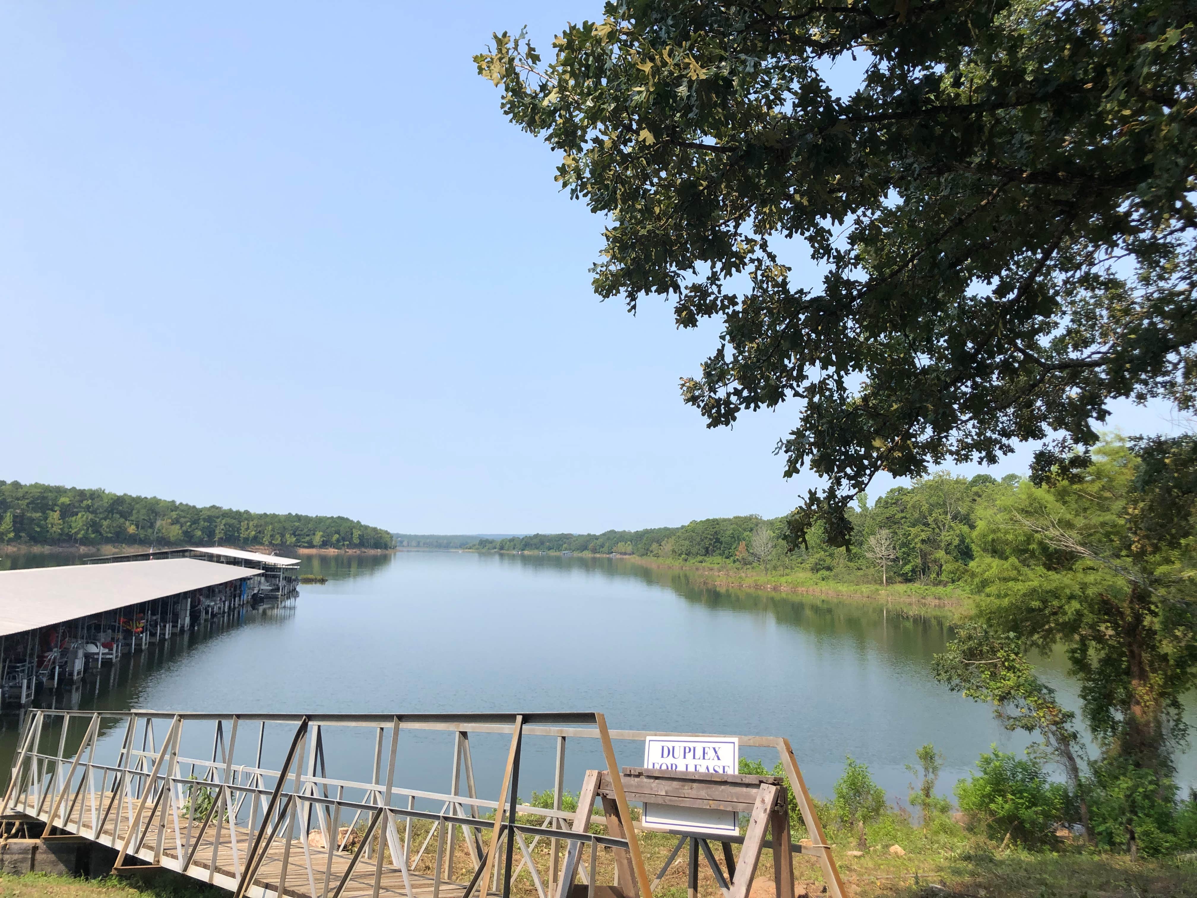 Camper submitted image from Hill Creek - Greers Ferry Lake - 5