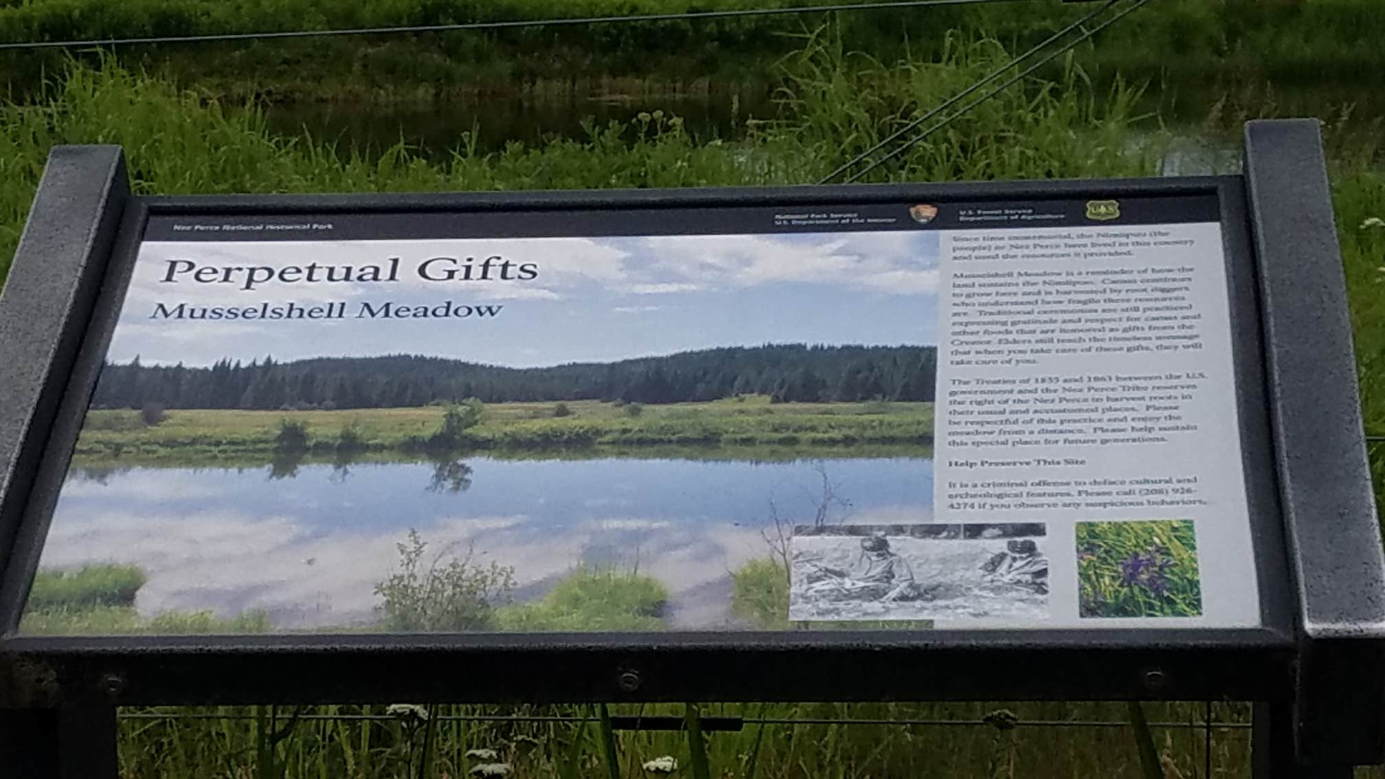 Camper-submitted photo at Musselshell Meadows near Weippe, ID