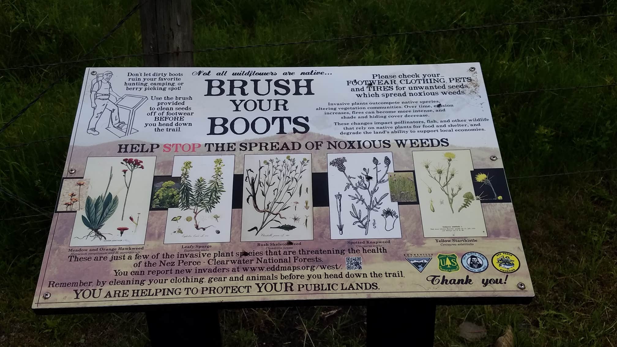 Camper-submitted photo at Musselshell Meadows near Weippe, ID