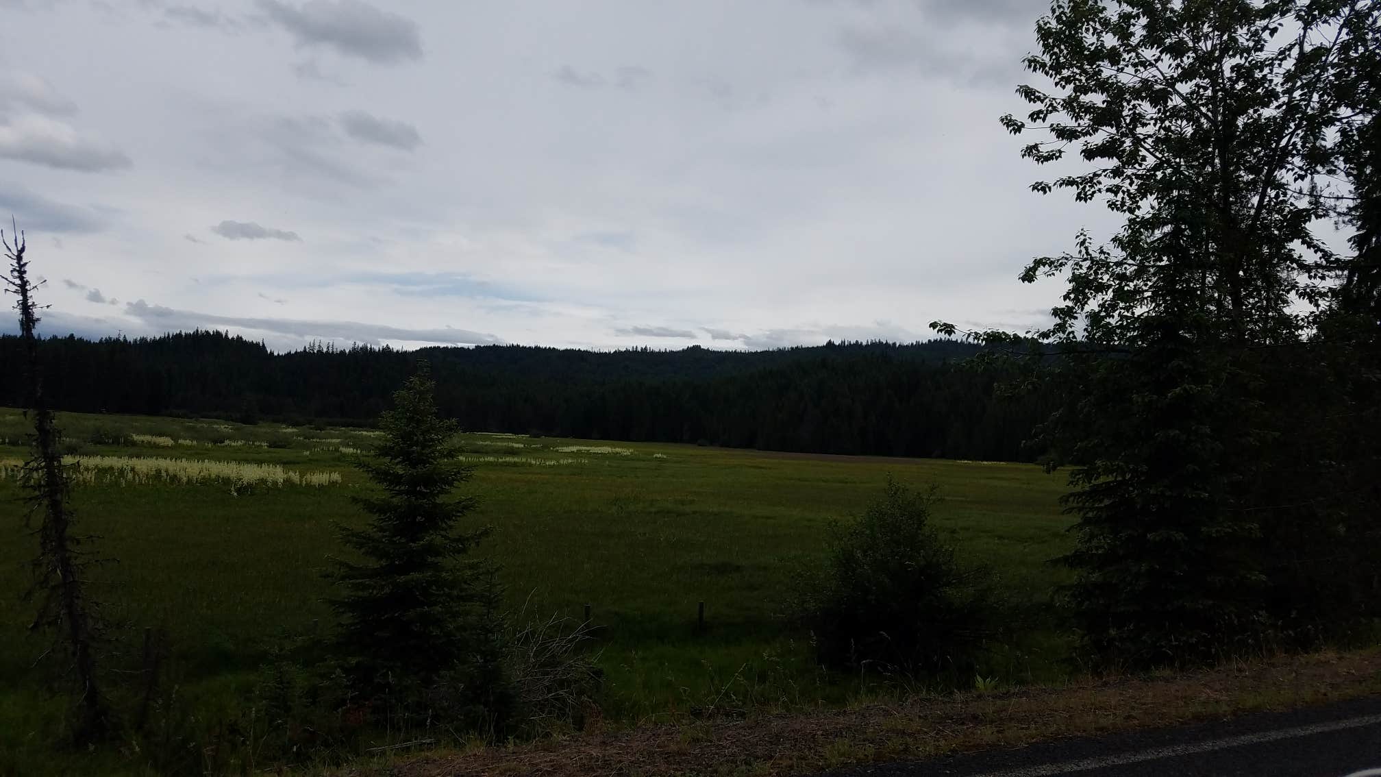 Camping near River Junction RV Park: Musselshell Meadows, Weippe, Idaho