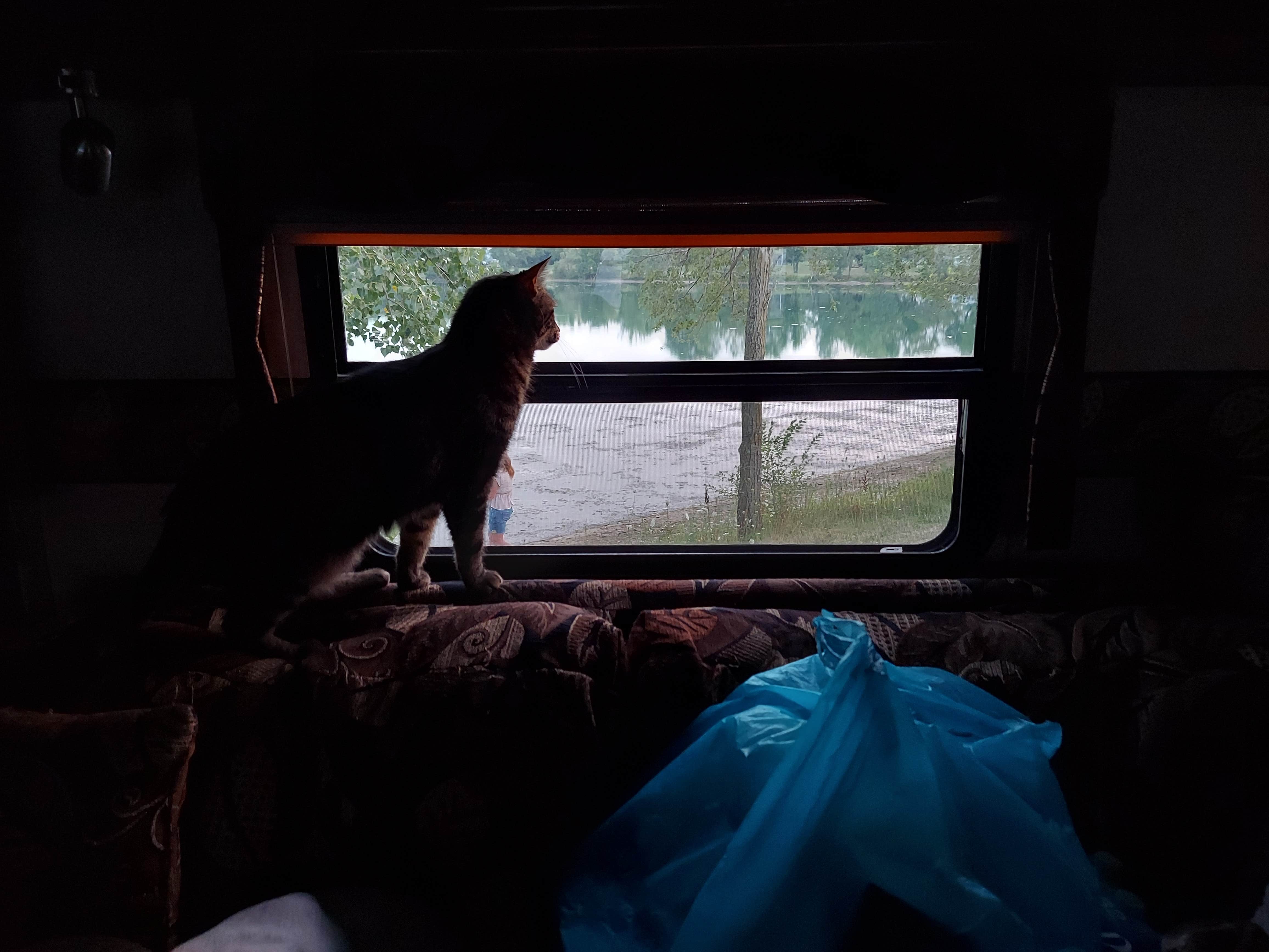 Doug S.'s photo of camping with pets at Leisure Lake Campground near Kewanee, IL