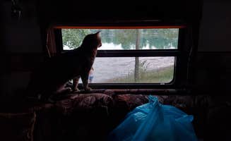Doug S.'s photo of camping with pets at Leisure Lake Campground near Morrison, IL