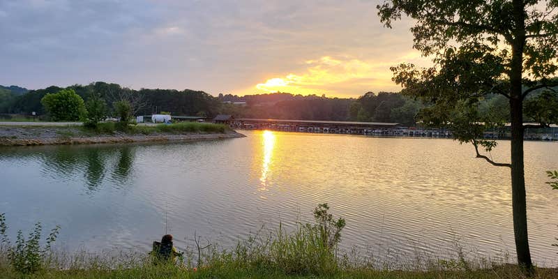 Camper submitted image from Greenlee May Springs Campground — Tennessee Valley Authority (TVA)