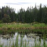 Review photo of Campbells Pond Access Area by Christopher R., June 17, 2018